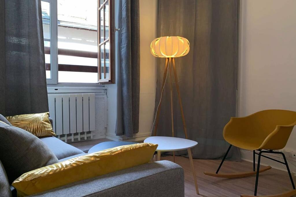 T2 Centre Historique☆☆☆Meuble De Tourisme 3Etoiles Apartment Chambery Ngoại thất bức ảnh